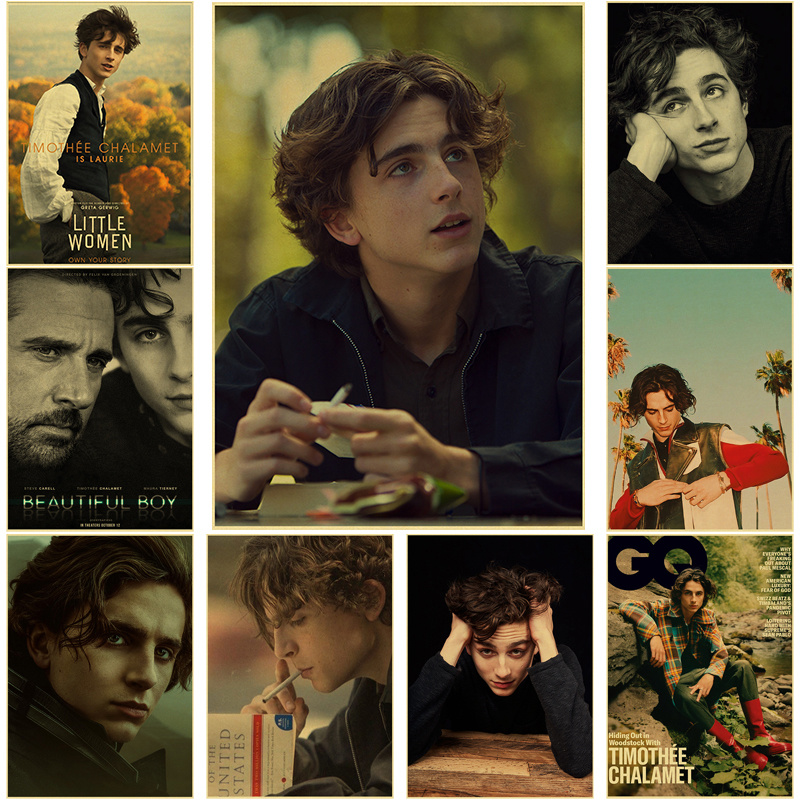 Home Bar And Theater - Timosinema Chalamet Retro tuval boyama posteri